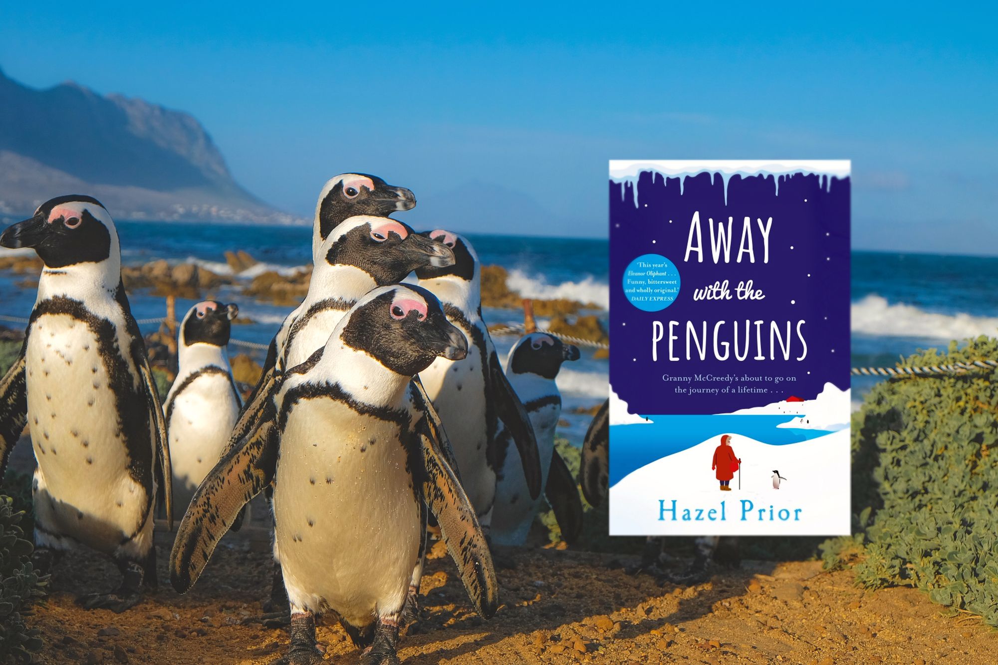 Away with the Penguins - Book Summary