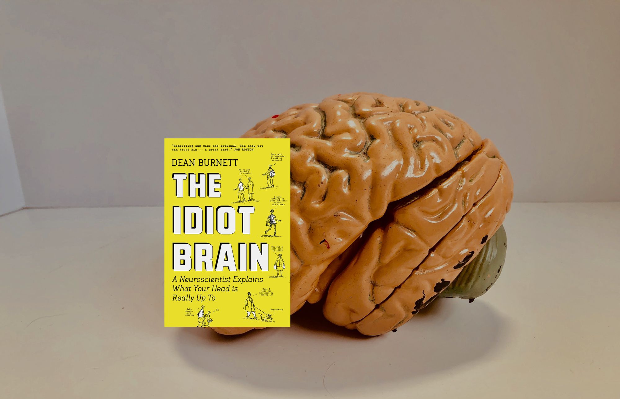 The Idiot Brain - Book Summary